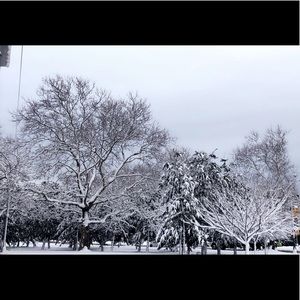 Meet your Posher, Rotna